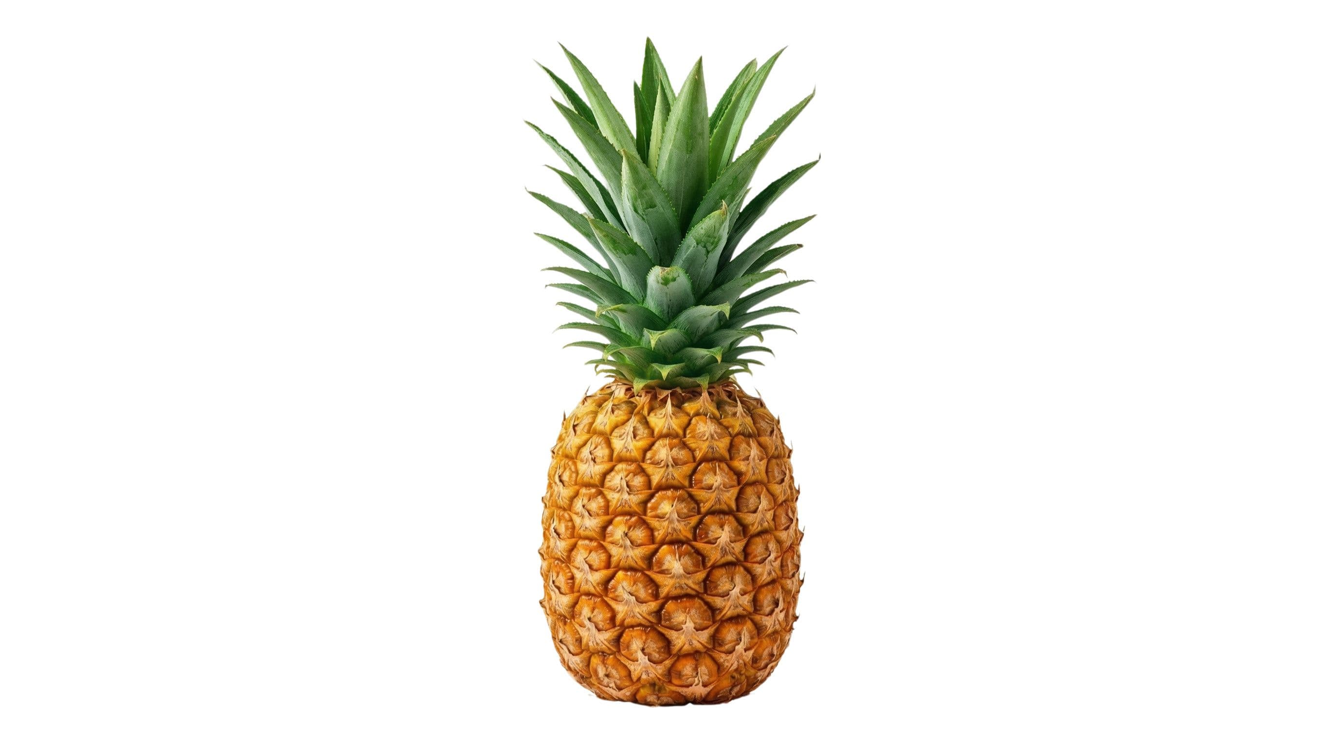 Pineapple